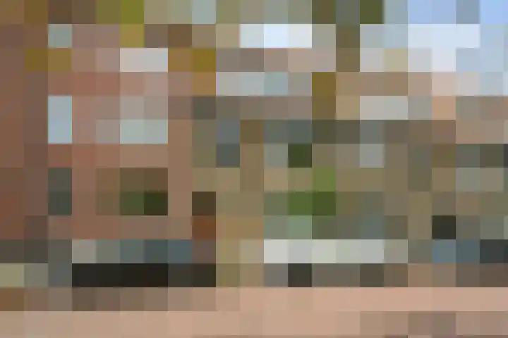 Hart Nibbrigkade 64 Den Haag thumbnail 17