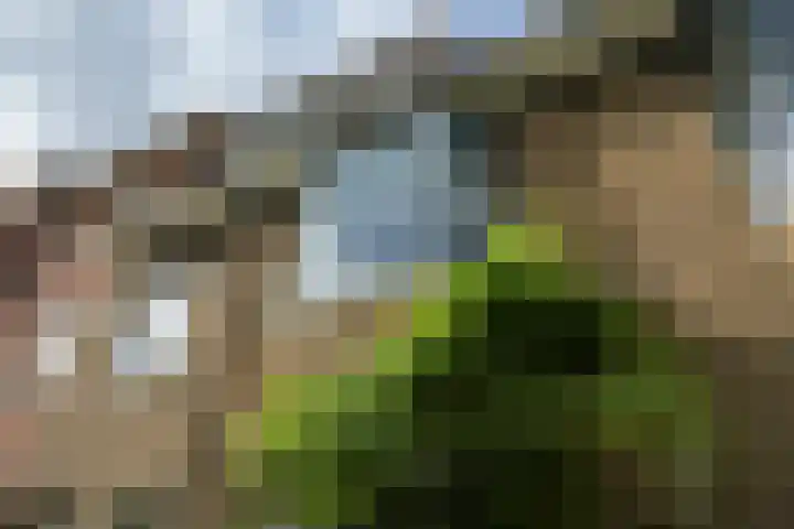 Hart Nibbrigkade 64 Den Haag thumbnail 18