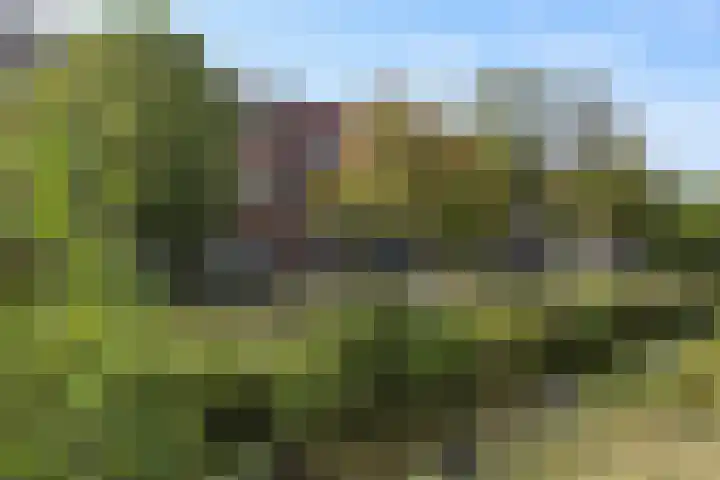 Hart Nibbrigkade 64 Den Haag thumbnail 19