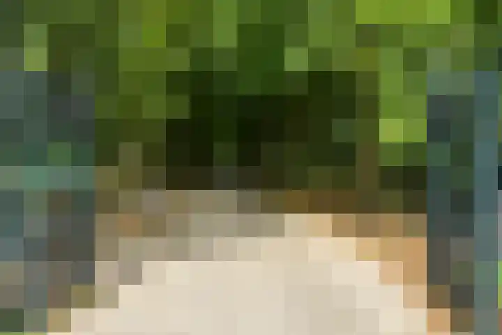 Hart Nibbrigkade 64 Den Haag thumbnail 20