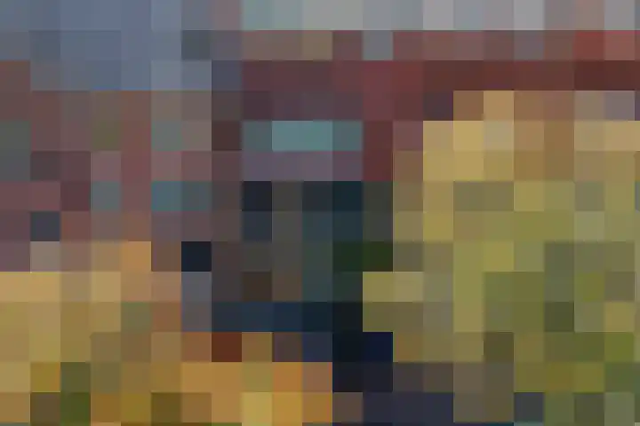 Hart Nibbrigkade 64 Den Haag thumbnail 24