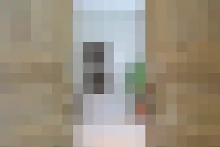 Hart Nibbrigkade 64 Den Haag thumbnail 29