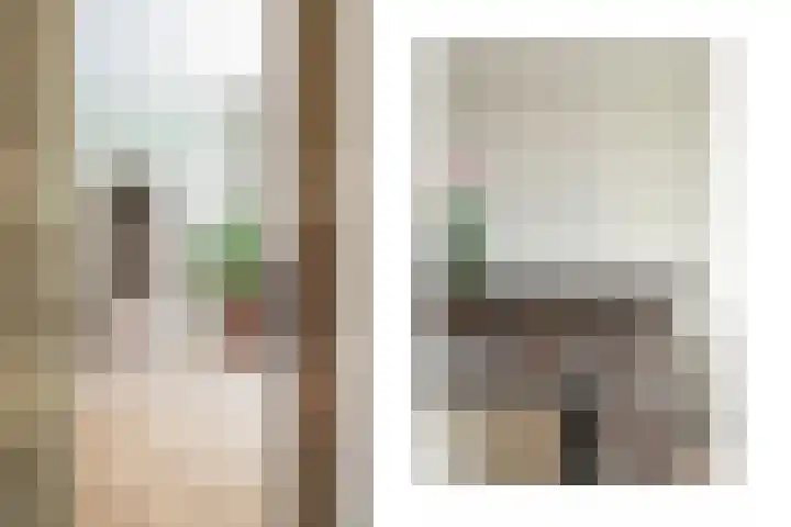 Hart Nibbrigkade 64 Den Haag thumbnail 30