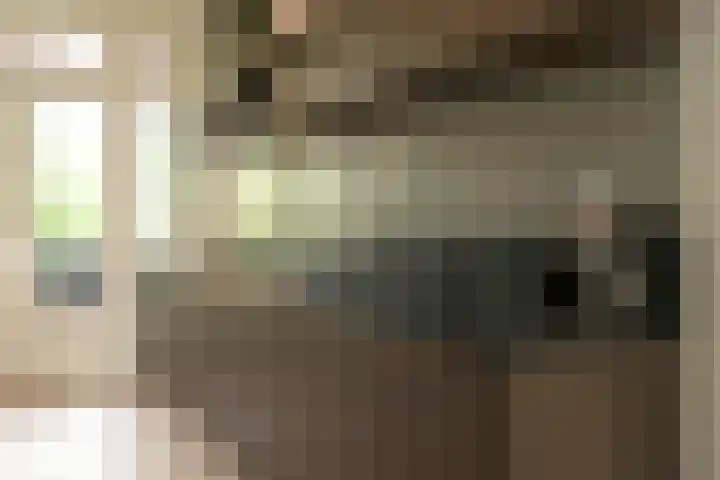 Hart Nibbrigkade 64 Den Haag thumbnail 34