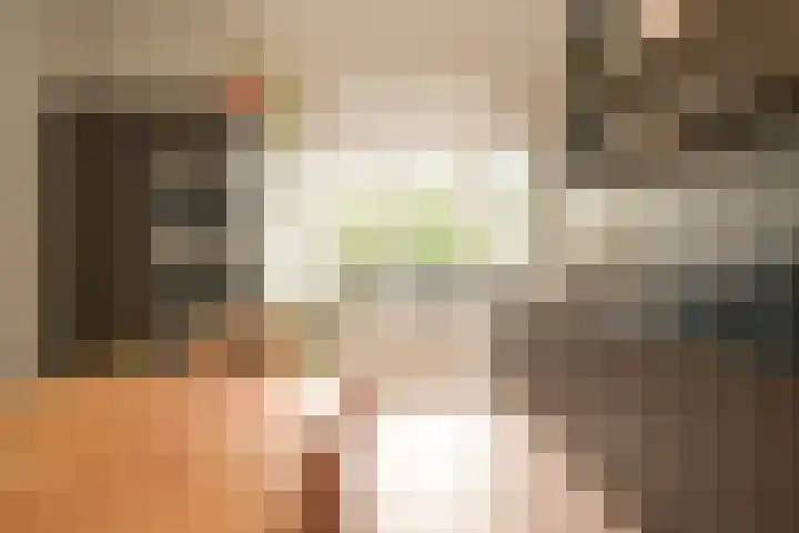 Hart Nibbrigkade 64 Den Haag thumbnail 37
