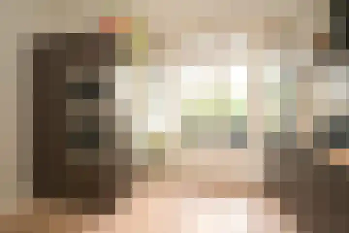 Hart Nibbrigkade 64 Den Haag thumbnail 38
