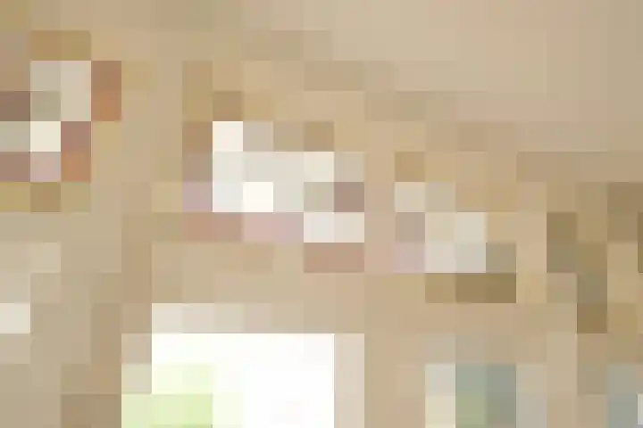 Hart Nibbrigkade 64 Den Haag thumbnail 39