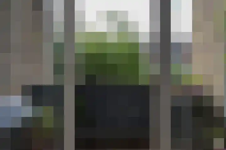 Hart Nibbrigkade 64 Den Haag thumbnail 40