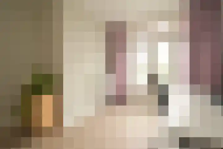 Hart Nibbrigkade 64 Den Haag thumbnail 48