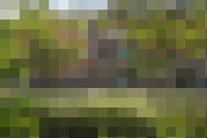 Hart Nibbrigkade 64 Den Haag thumbnail 49