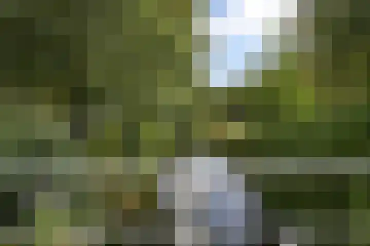 Hart Nibbrigkade 64 Den Haag thumbnail 50