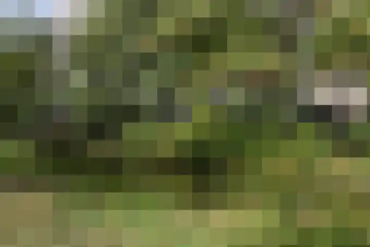 Hart Nibbrigkade 64 Den Haag thumbnail 51