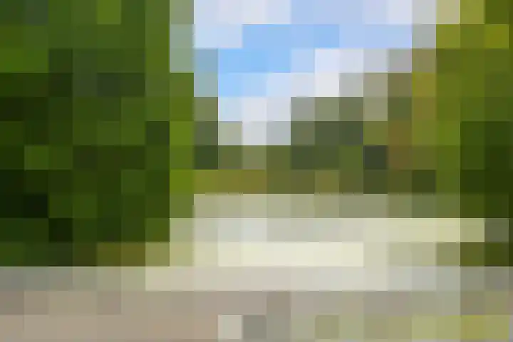Hart Nibbrigkade 64 Den Haag thumbnail 52