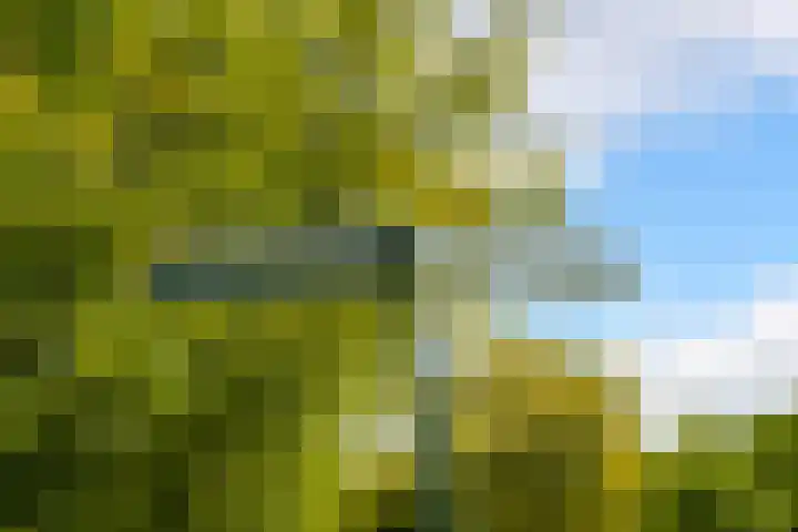Hart Nibbrigkade 64 Den Haag thumbnail 53