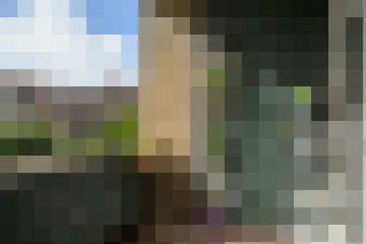 Hart Nibbrigkade 64 Den Haag thumbnail 7