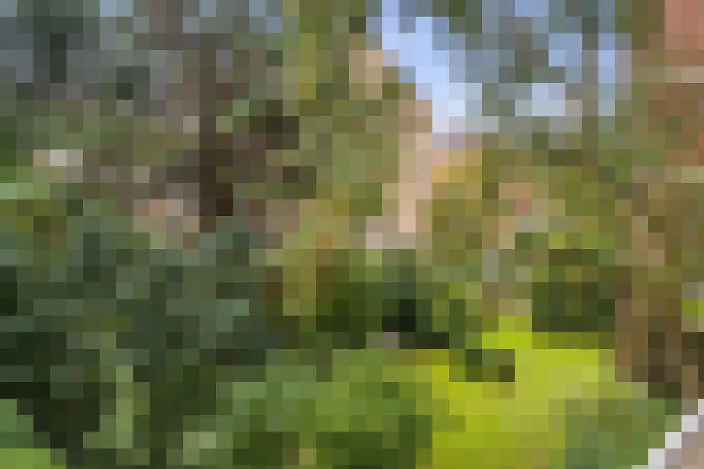 Hart Nibbrigkade 67 25 Den Haag thumbnail 19