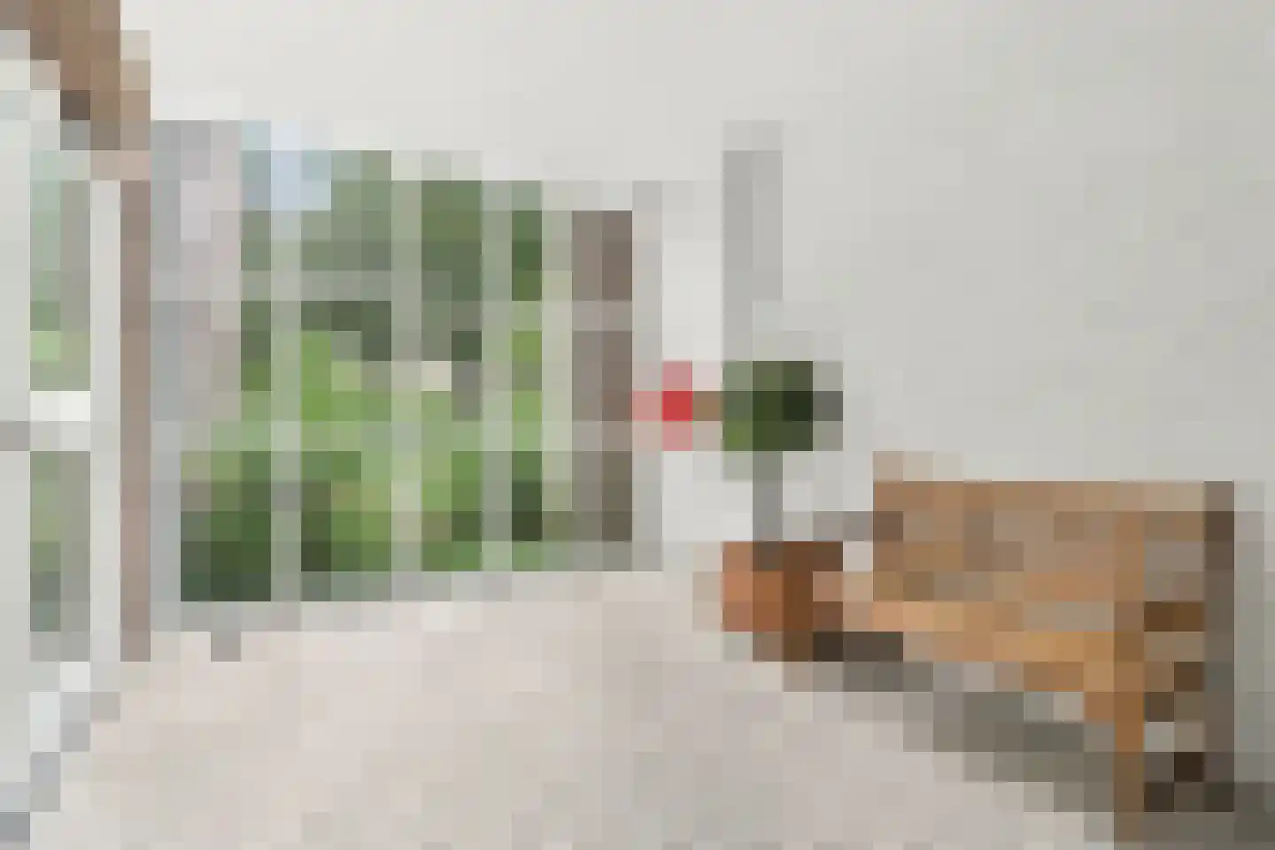 Hart Nibbrigkade 67 25 Den Haag thumbnail 20
