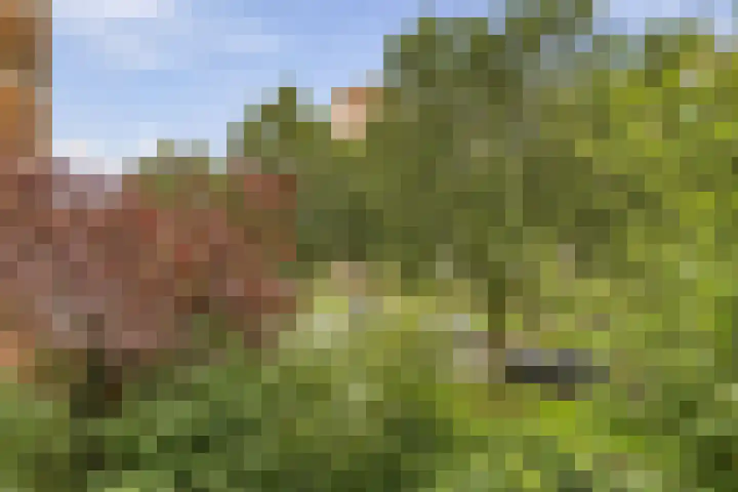 Hart Nibbrigkade 67 25 Den Haag thumbnail 6