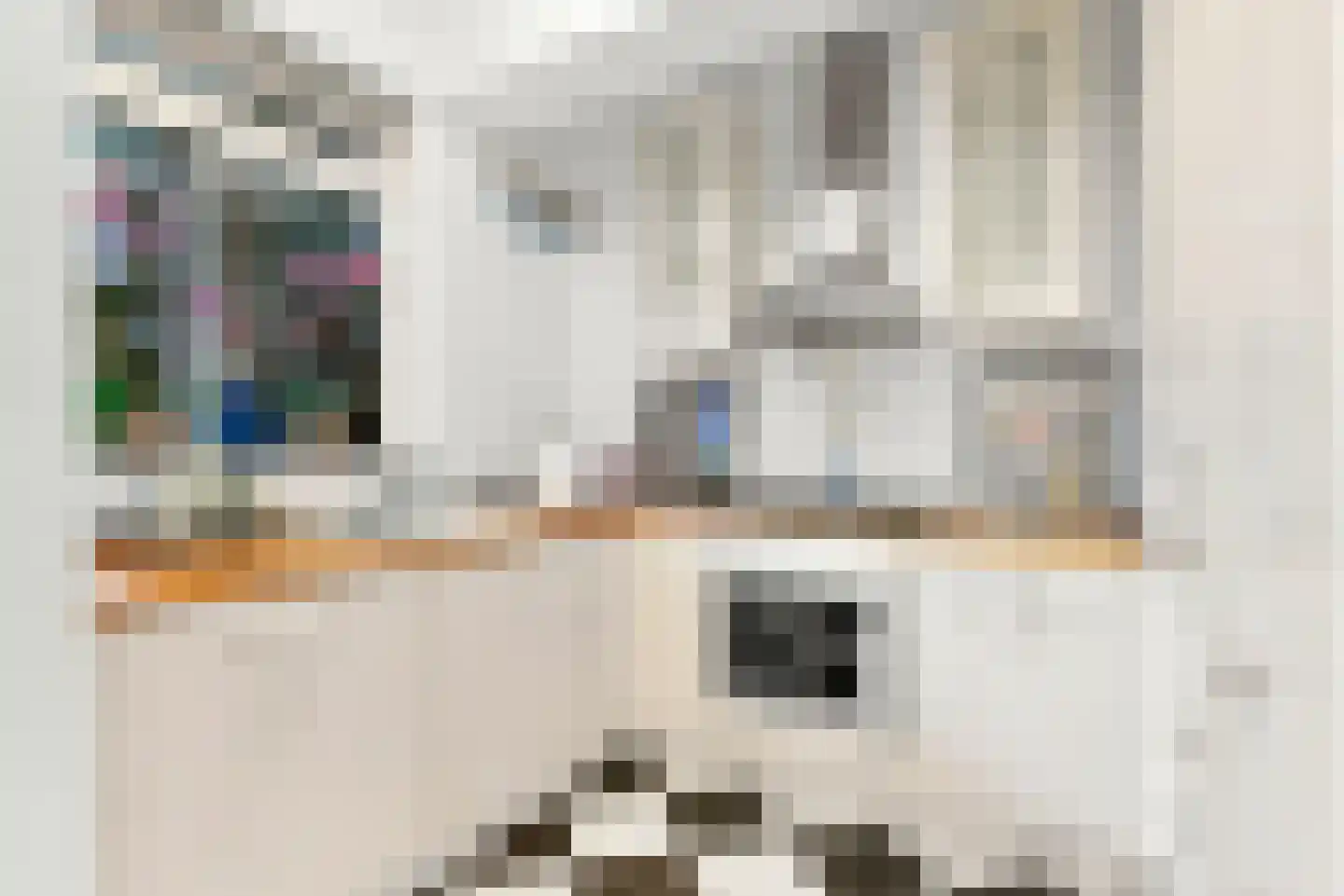 Hart Nibbrigkade 67 25 Den Haag thumbnail 8