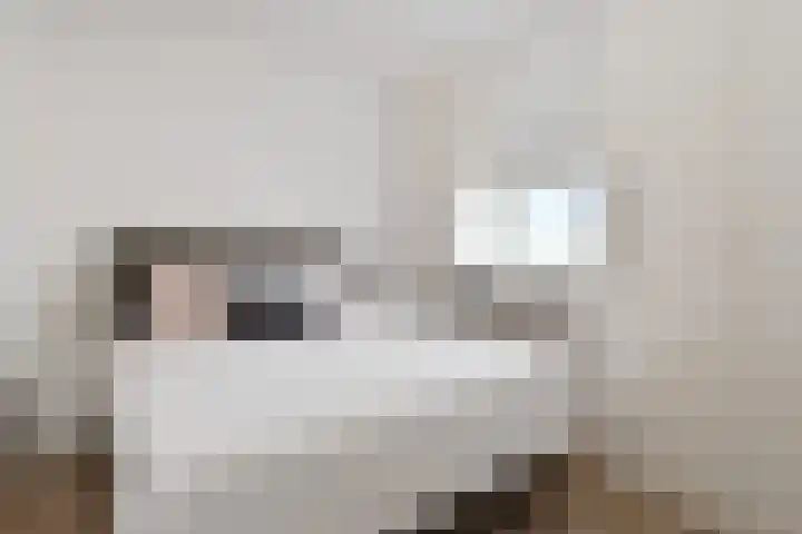 Hart Nibbrigkade 67 31 Den Haag thumbnail 12