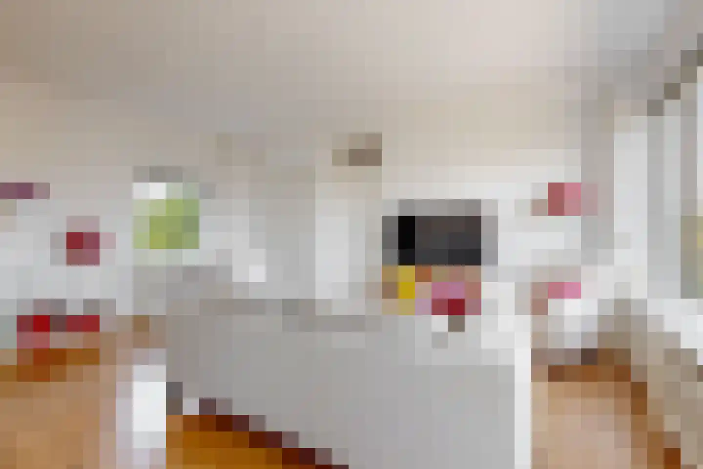 Hart Nibbrigkade 67 38 Den Haag thumbnail 5
