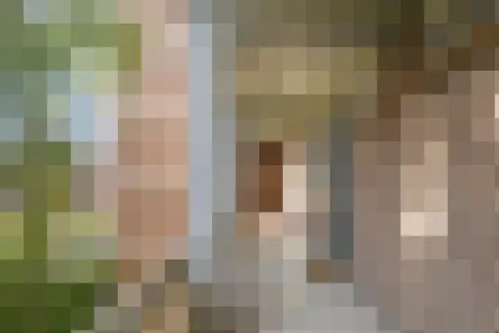 Hart Nibbrigkade 67 43 Den Haag thumbnail 10