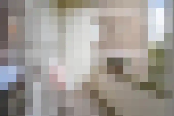 Hart Nibbrigkade 67 43 Den Haag thumbnail 23