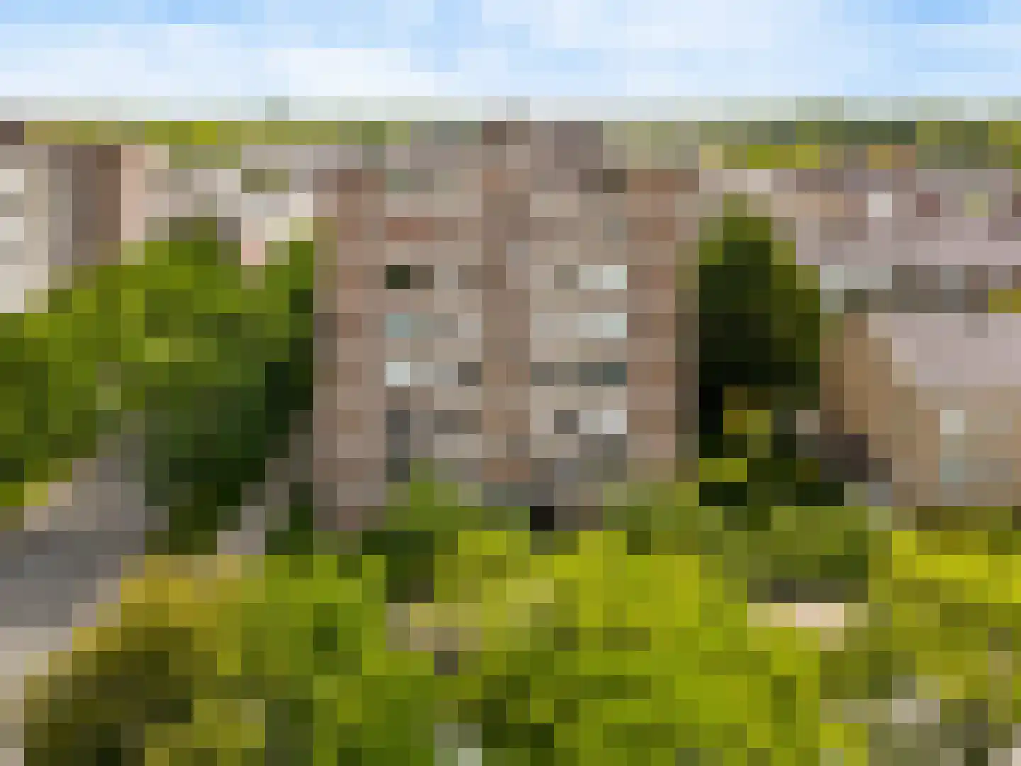 Hart Nibbrigkade 67 43 Den Haag thumbnail 23