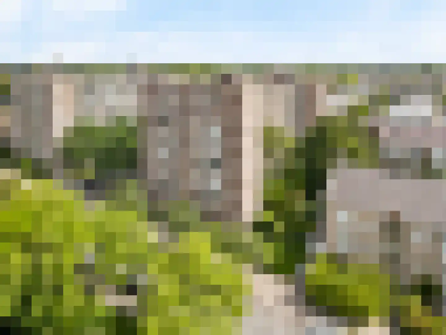 Hart Nibbrigkade 67 43 Den Haag thumbnail 24