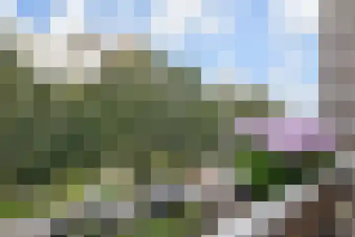 Hart Nibbrigkade 67 43 Den Haag thumbnail 24