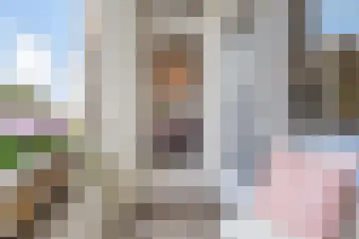 Hart Nibbrigkade 67 43 Den Haag thumbnail 4