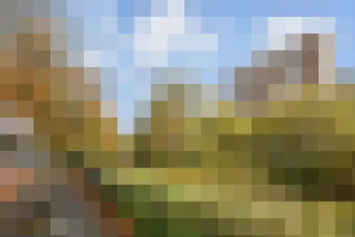 Hart Nibbrigkade 67 43 Den Haag thumbnail 6