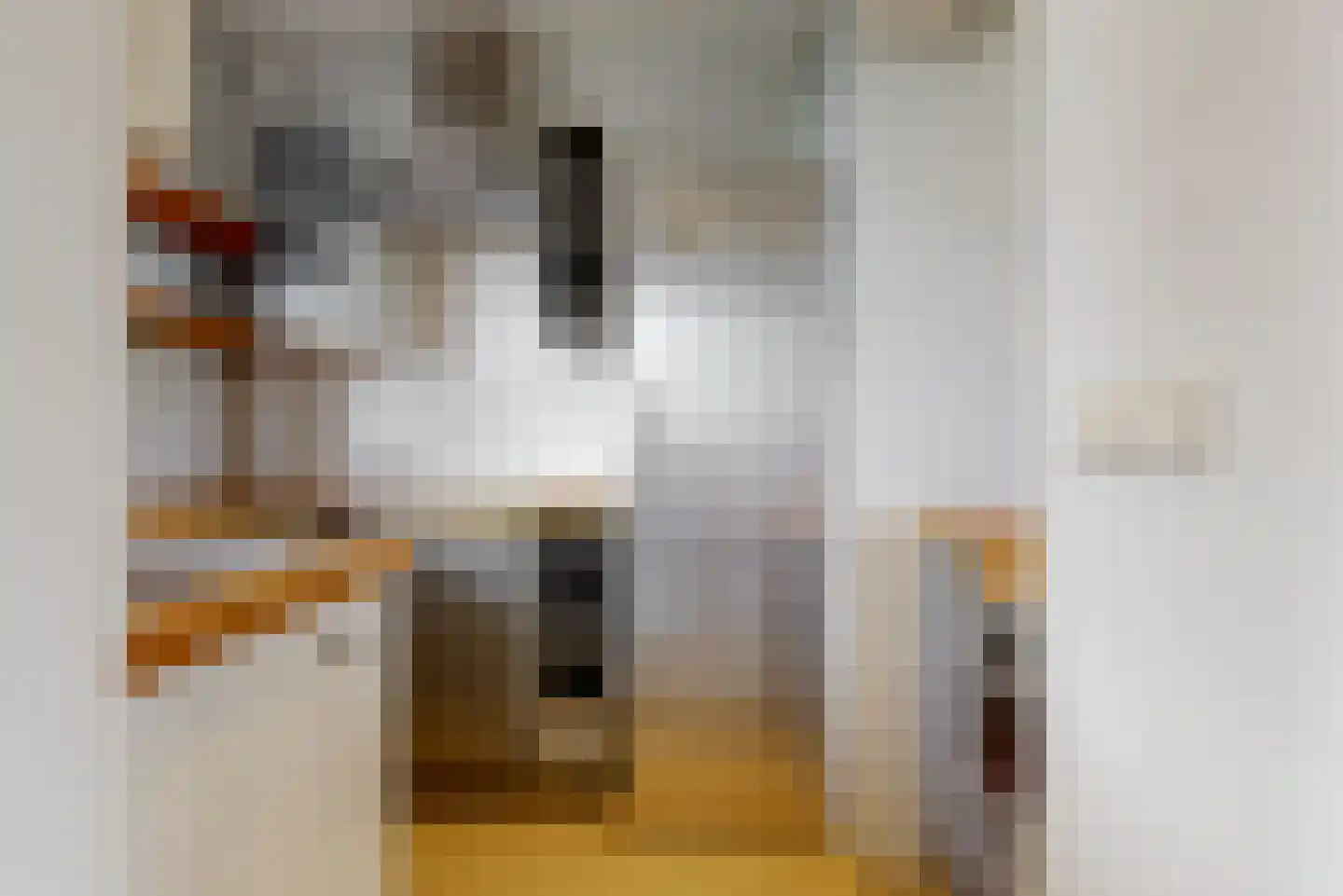 Hart Nibbrigkade 67 43 Den Haag thumbnail 7