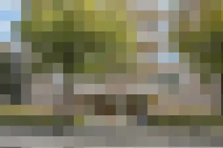 Hart Nibbrigkade 67 43 Den Haag thumbnail 7