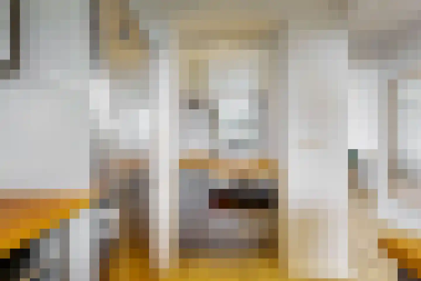 Hart Nibbrigkade 67 43 Den Haag thumbnail 8
