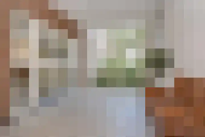 Hart Nibbrigkade 67 43 Den Haag thumbnail 8