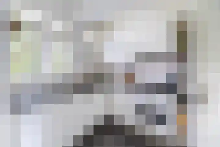 Hart Nibbrigkade 67 46 Den Haag thumbnail 13
