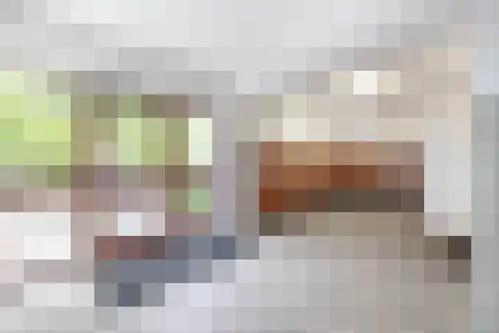 Hart Nibbrigkade 67 46 Den Haag thumbnail 21