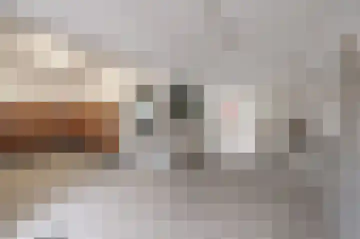 Hart Nibbrigkade 67 46 Den Haag thumbnail 22