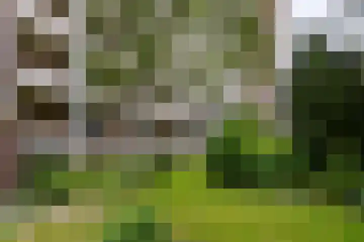 Hart Nibbrigkade 67 46 Den Haag thumbnail 23