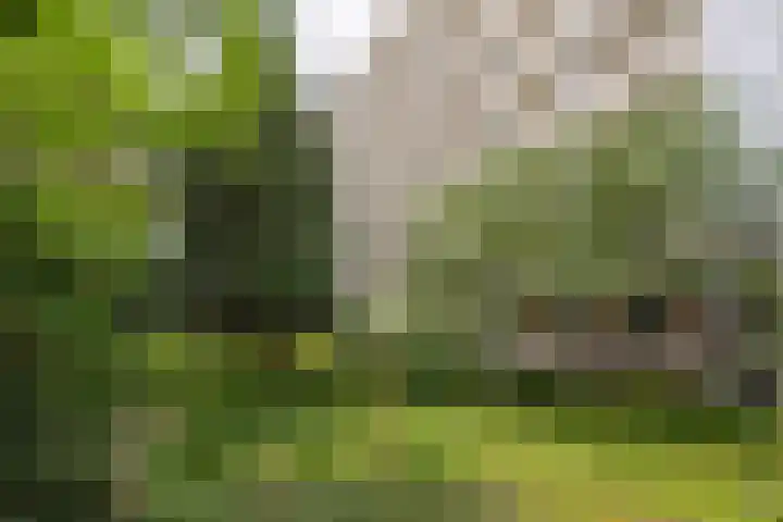 Hart Nibbrigkade 67 46 Den Haag thumbnail 24