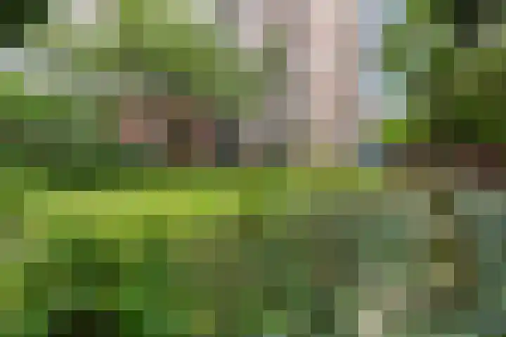 Hart Nibbrigkade 67 46 Den Haag thumbnail 25