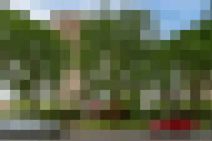 Hart Nibbrigkade 67 46 Den Haag thumbnail 26