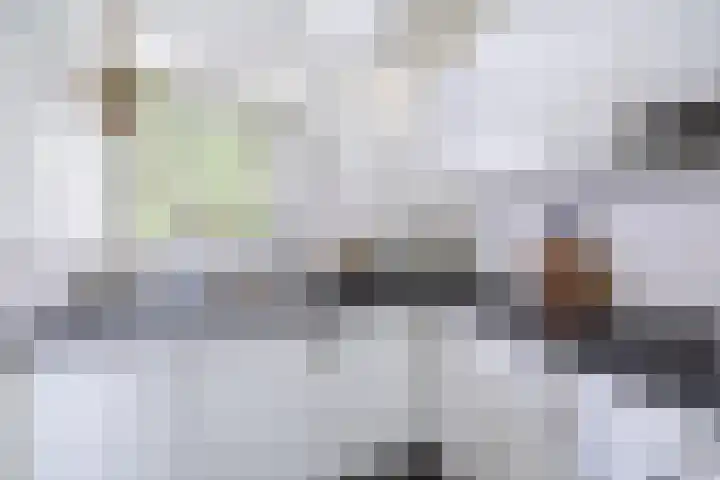 Hart Nibbrigkade 67 46 Den Haag thumbnail 4