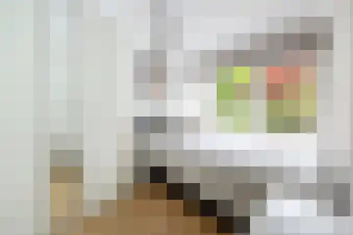 Hart Nibbrigkade 67 46 Den Haag thumbnail 5