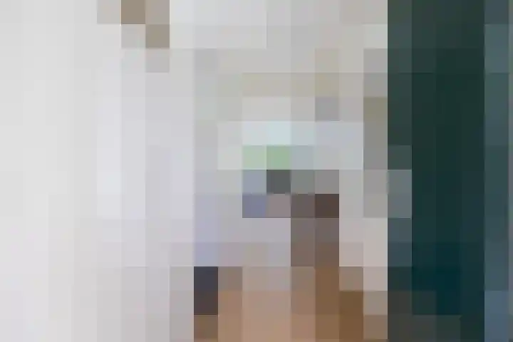 Hart Nibbrigkade 67 46 Den Haag thumbnail 7