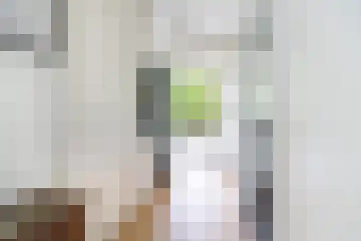 Hart Nibbrigkade 67 46 Den Haag thumbnail 8