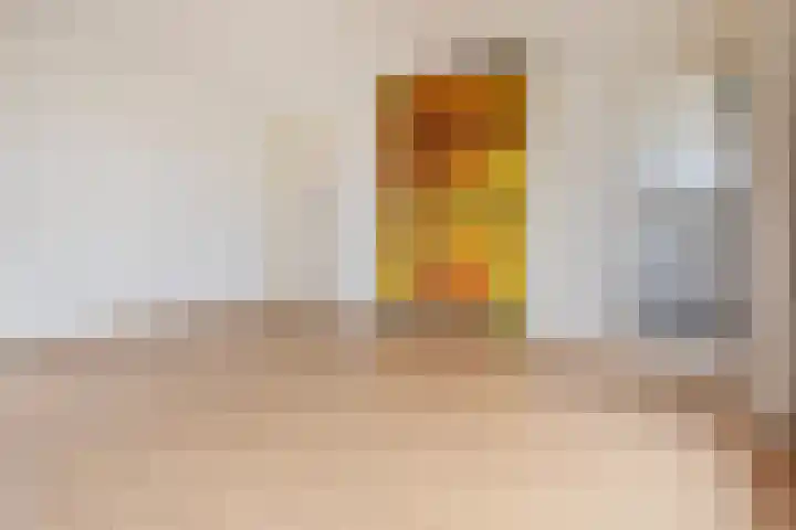 Hart Nibbrigkade 67 47 Den Haag thumbnail 10