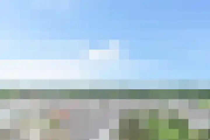 Hart Nibbrigkade 67 47 Den Haag thumbnail 17