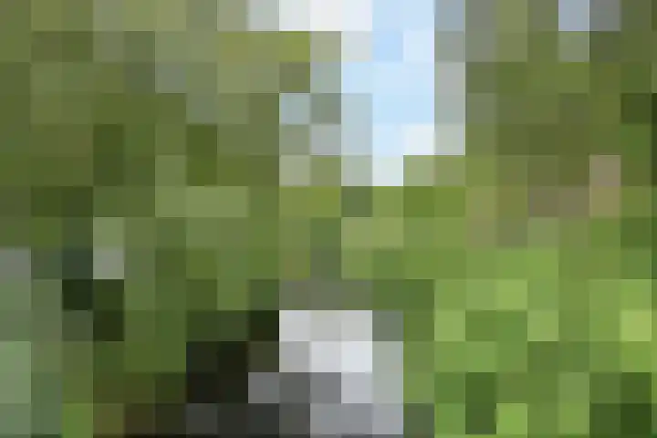 Hart Nibbrigkade 67 47 Den Haag thumbnail 18